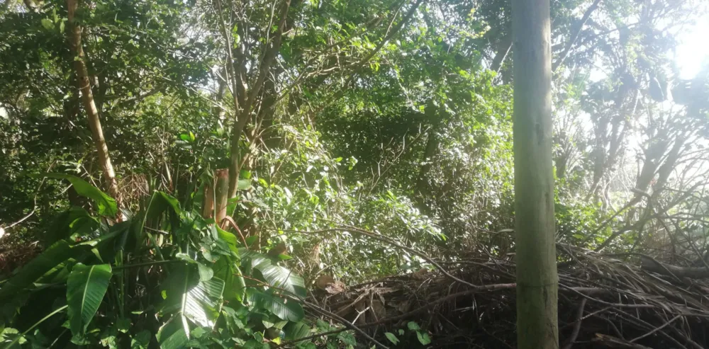 Residential vacant land for sale in Hibberdene - 1PX1652359
