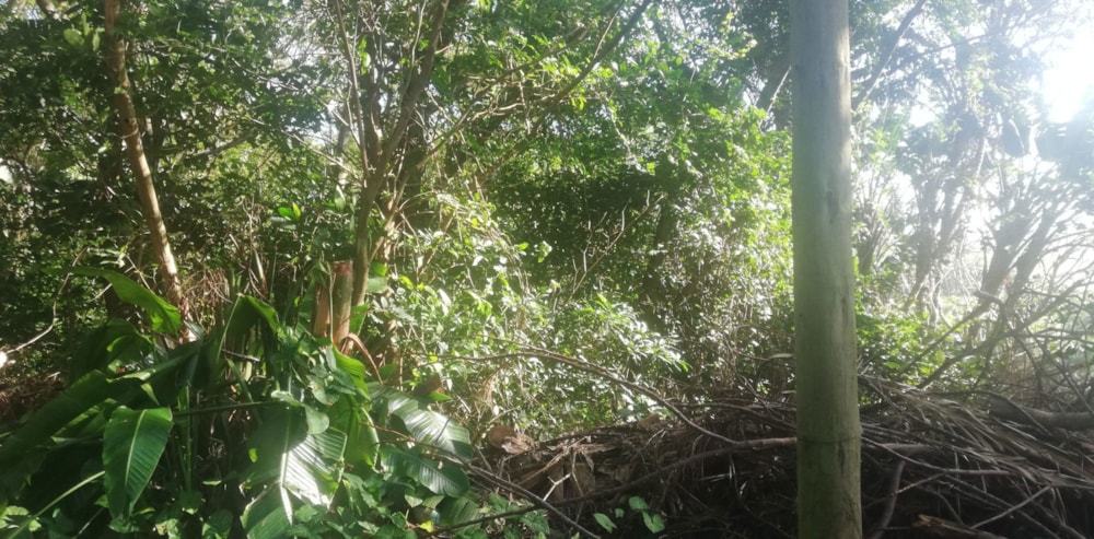 Residential vacant land for sale in Hibberdene - 1PX1652359 Residential vacant land for sale in Hibberdene - 1PX1652359