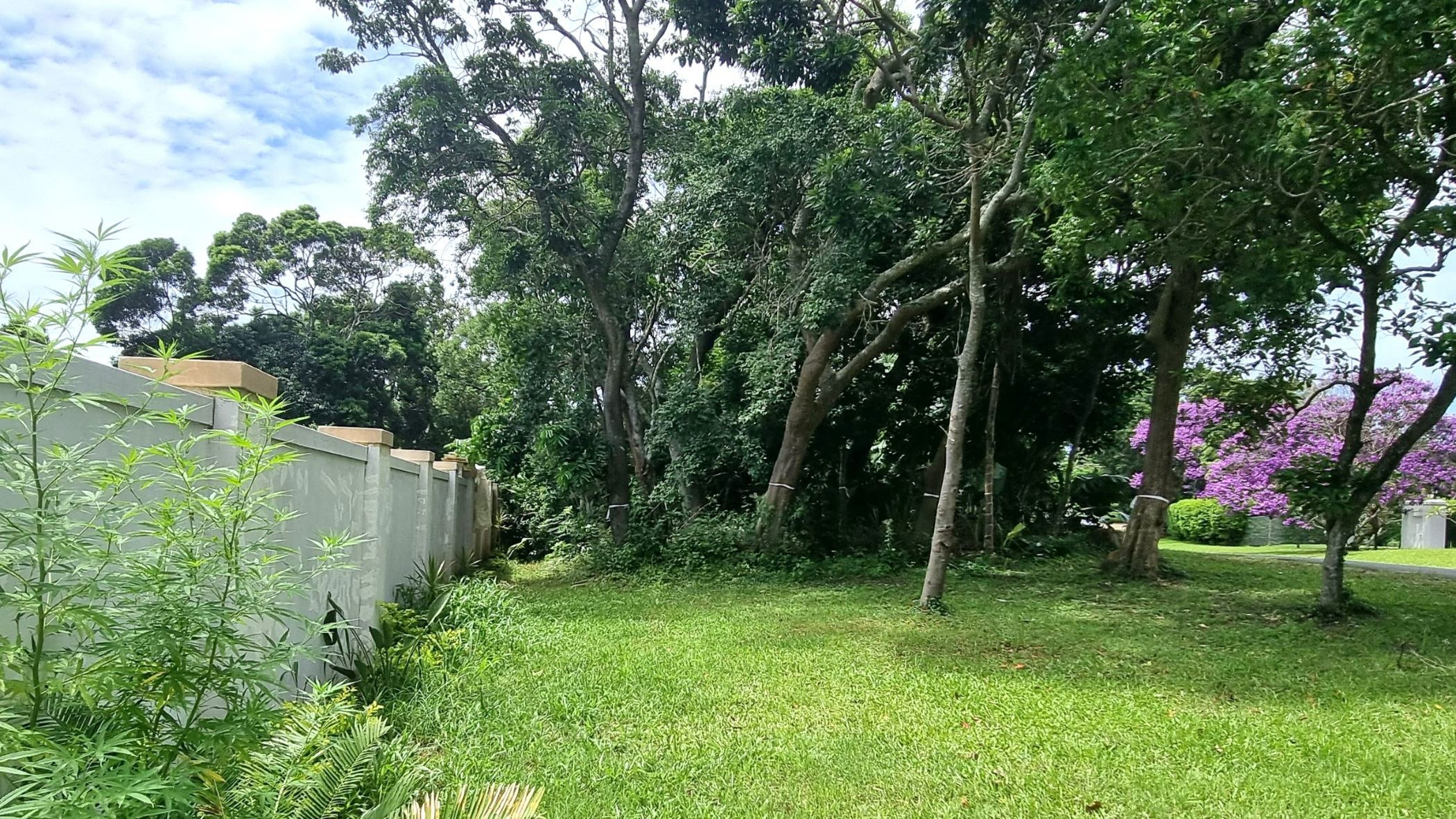 Residential vacant land for sale in Southbroom - 1PD1655539