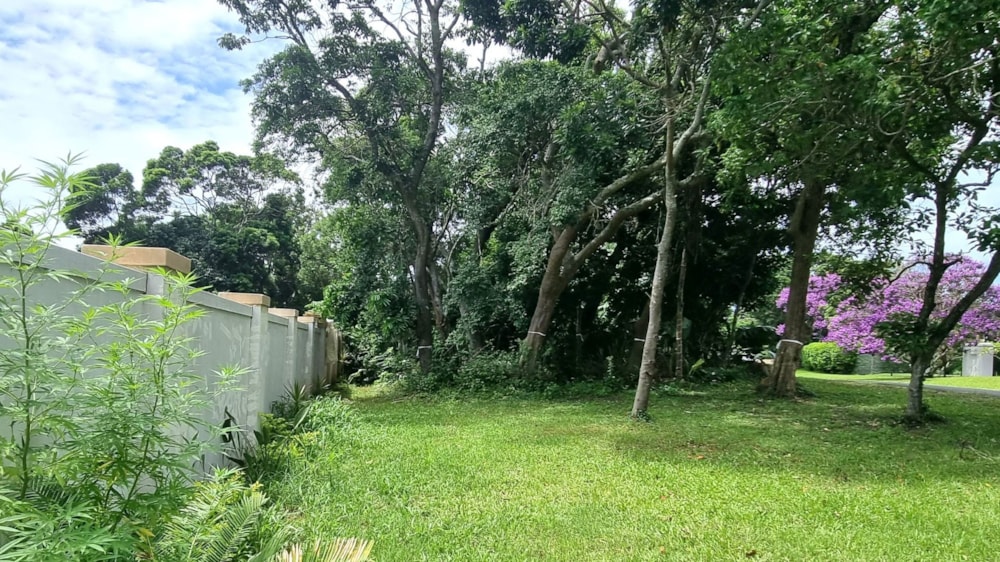 Residential vacant land for sale in Southbroom - 1PD1655539