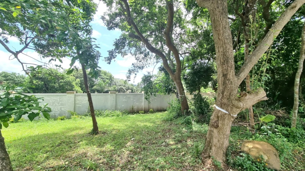 Residential vacant land for sale in Southbroom - 1PD1655539