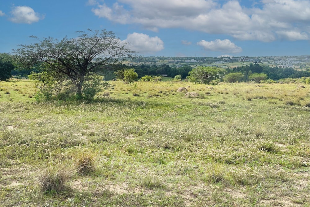 Residential vacant land for sale in Sun Valley, Midrand - MR1652535