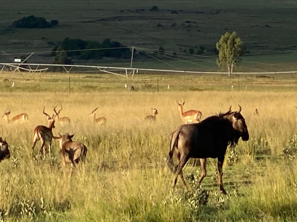 Vacant land for sale in Bronkhorstbaai - PRN1655003