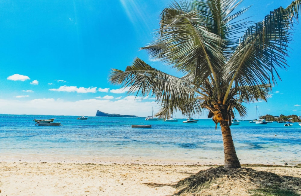 Apartment for sale in Bain Boeuf, Mauritius - MPR1642915