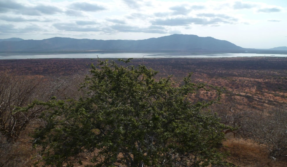 Residential vacant land for sale in Mombasa Island, Kenya - 3KE1651781 Residential vacant land for sale in Mombasa Island, Kenya - 3KE1651781