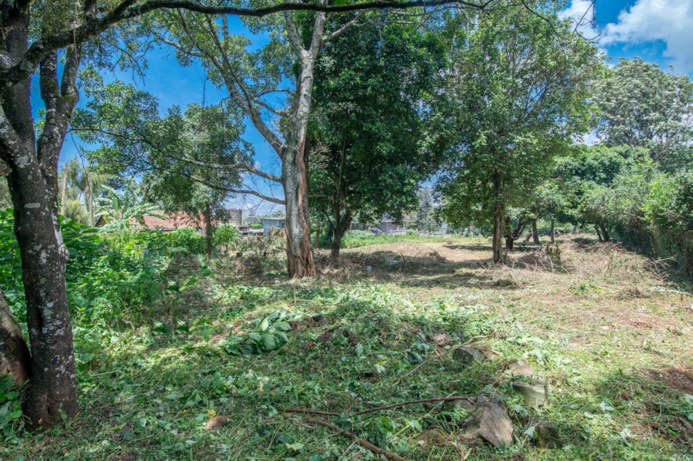 Residential vacant land for sale in Karen, Kenya - 3KE1729860
