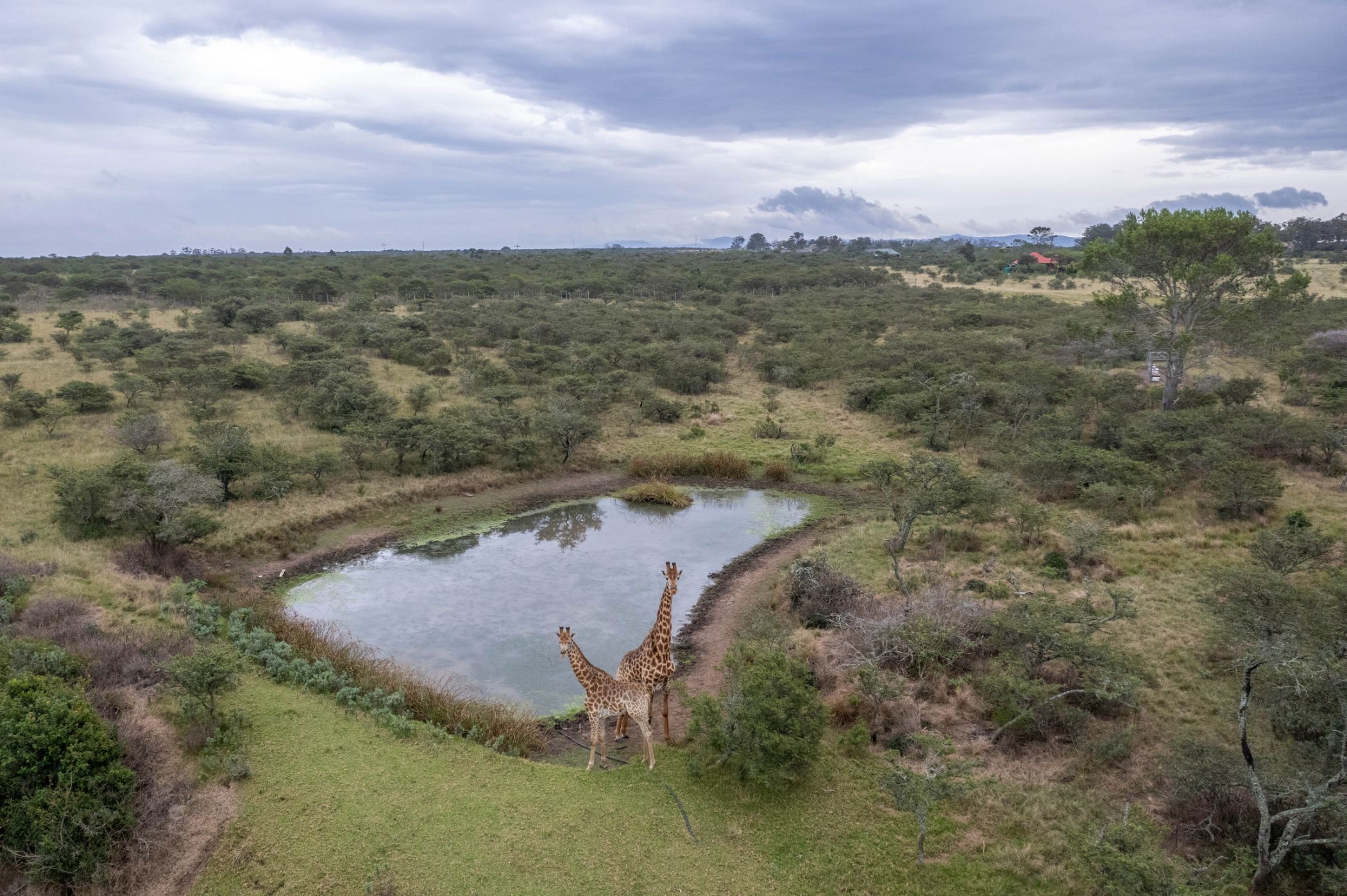 Residential vacant land for sale in Bathurst - 1PF1653231