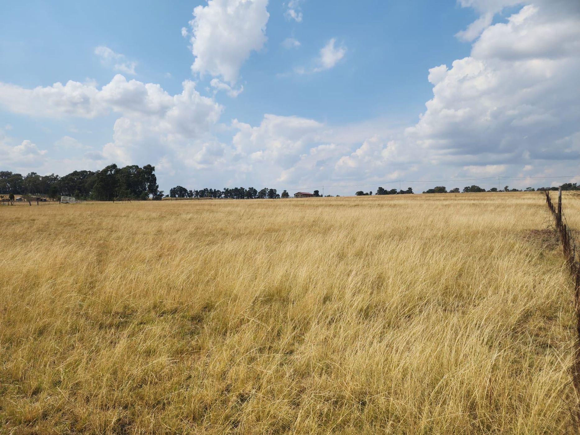 Farm vacant land for sale in Bethlehem - 1BTH1652823