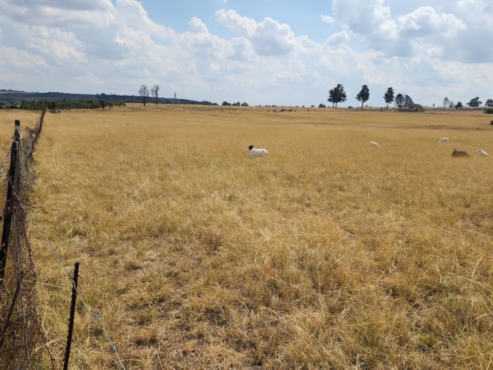 Farm vacant land for sale in Bethlehem - 1BTH1652823