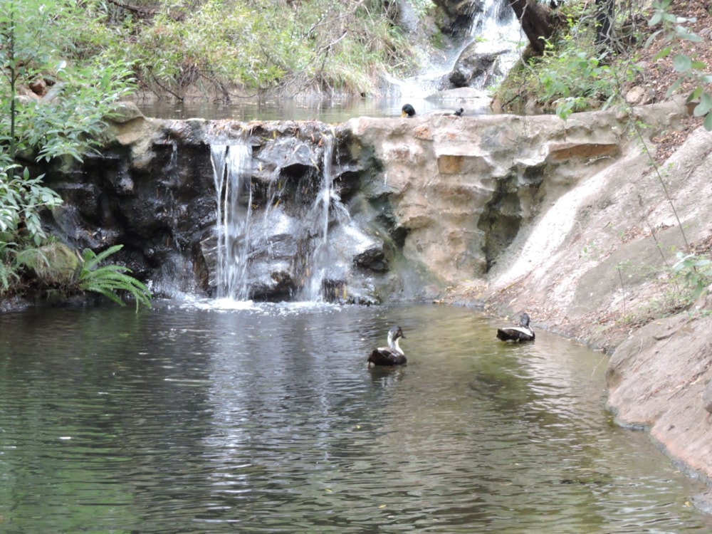 Mixed use farm for sale in Rustenburg - 1RU1653199