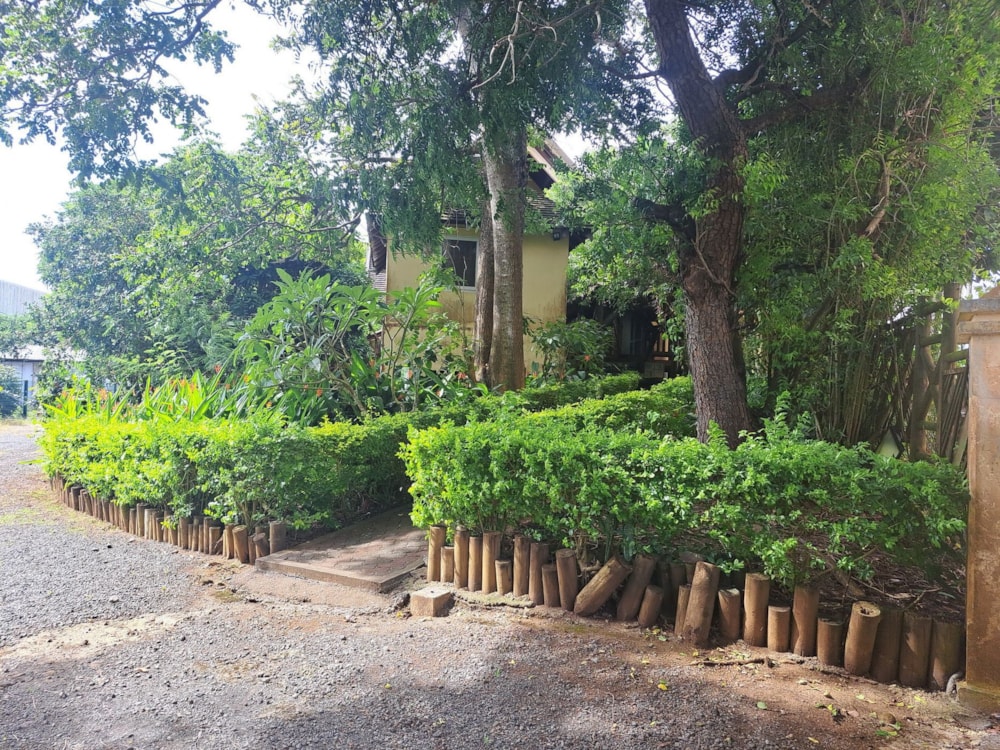 Commercial office to rent in Quatre Bornes, Mauritius - MUR1653055 Commercial office to rent in Quatre Bornes, Mauritius - MUR1653055