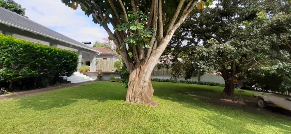 House sold in Arbor Park, Tzaneen - 1TA1653387 House sold in Arbor Park, Tzaneen - 1TA1653387