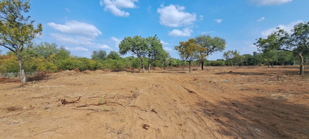 Vacant land for sale in Phalaborwa - 1PW1653129