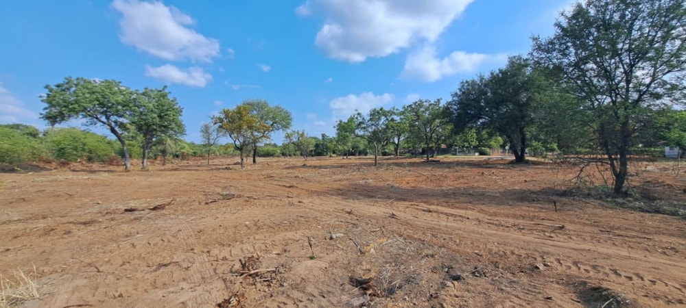 Vacant land for sale in Phalaborwa - 1PW1653129