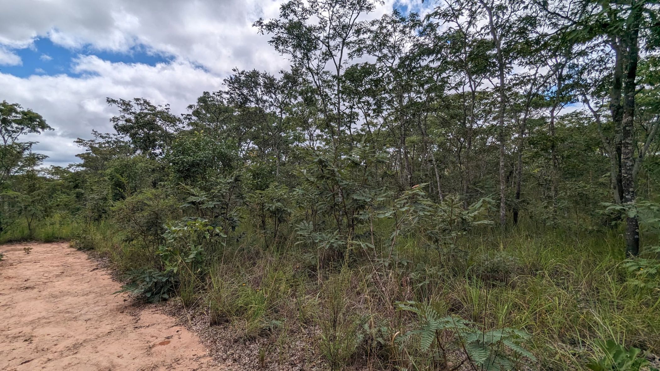 Vacant land for sale in Leopards Hill, Zambia - 3ZA1653142