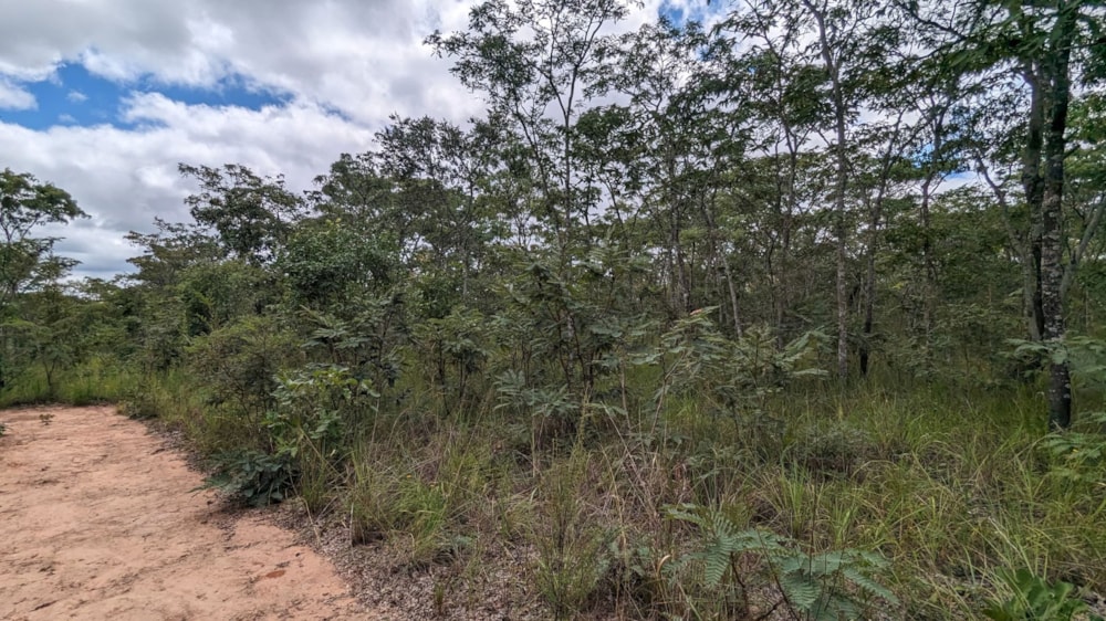 Vacant land for sale in Leopards Hill, Zambia - 3ZA1653142