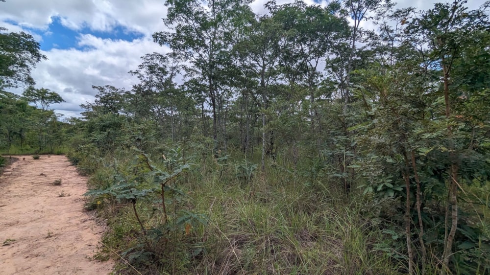 Vacant land for sale in Leopards Hill, Zambia - 3ZA1653142