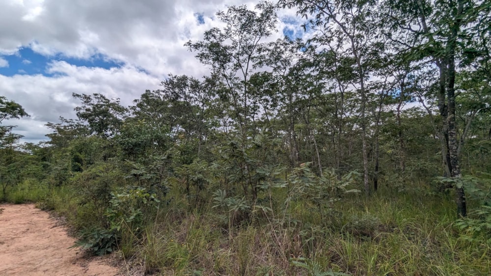 Vacant land for sale in Leopards Hill, Zambia - 3ZA1653142