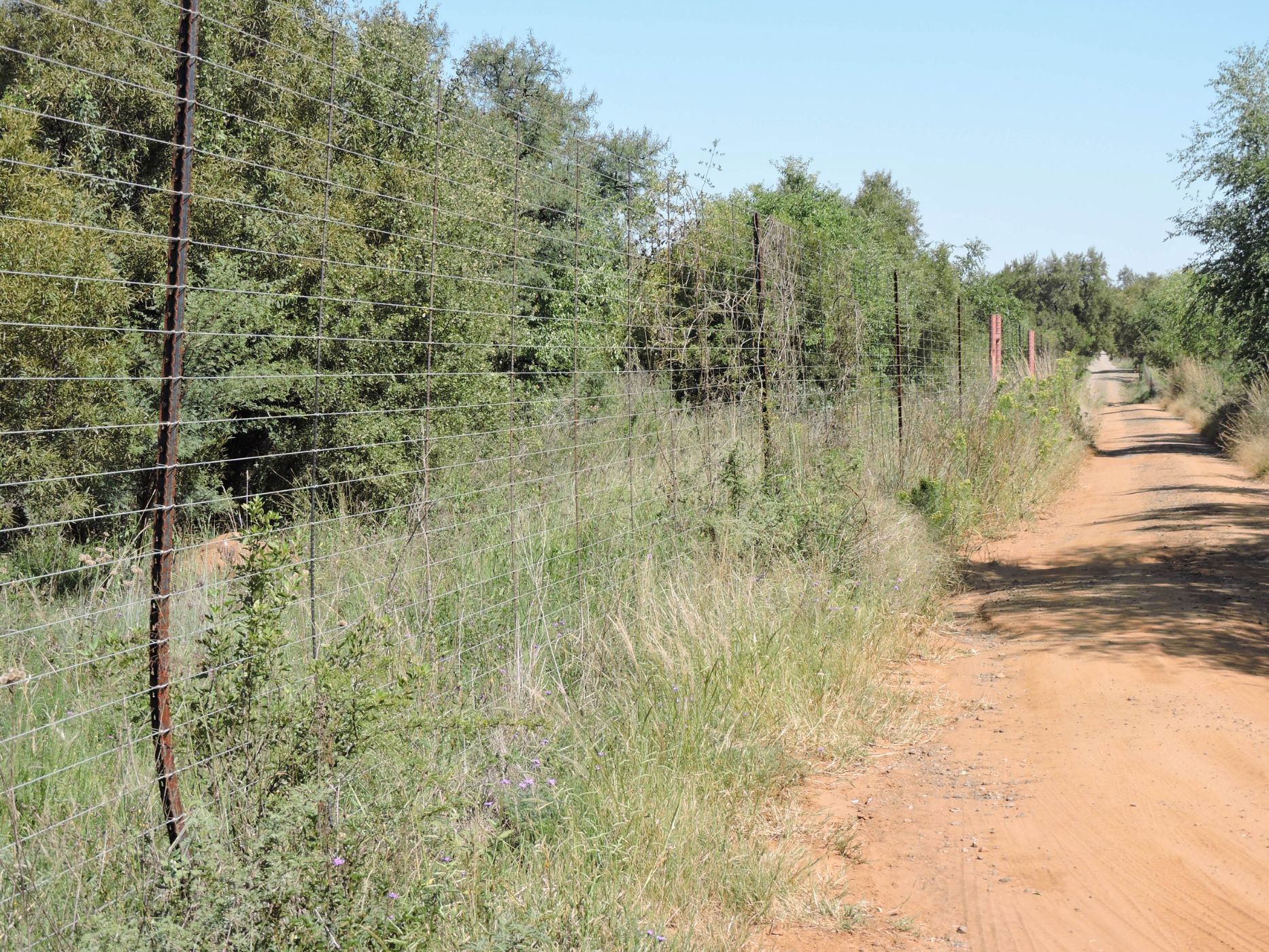 Farm vacant land for sale in Olifantsnek - 1RU1653254