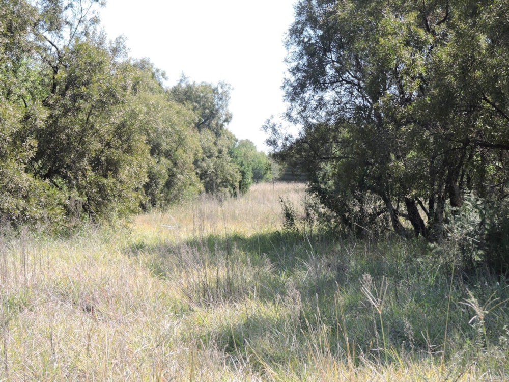 Farm vacant land for sale in Olifantsnek - 1RU1653254 Farm vacant land for sale in Olifantsnek - 1RU1653254