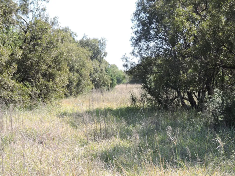 Farm vacant land for sale in Olifantsnek - 1RU1653254 Farm vacant land for sale in Olifantsnek - 1RU1653254