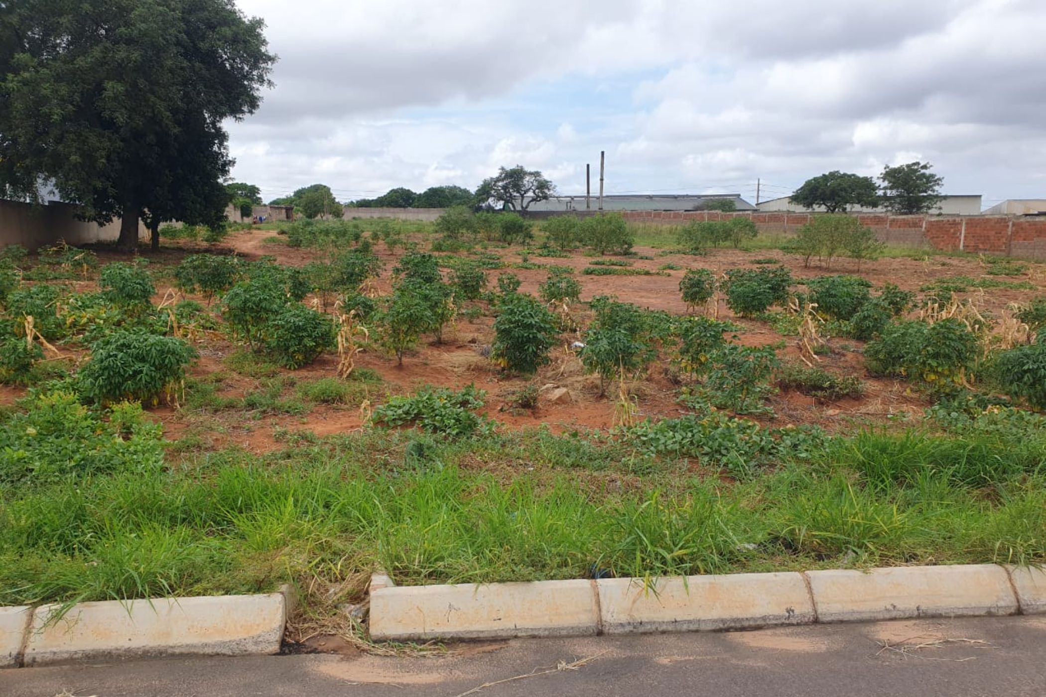 Commercial vacant land for investment in Matola, Mozambique - 3MQ1653266