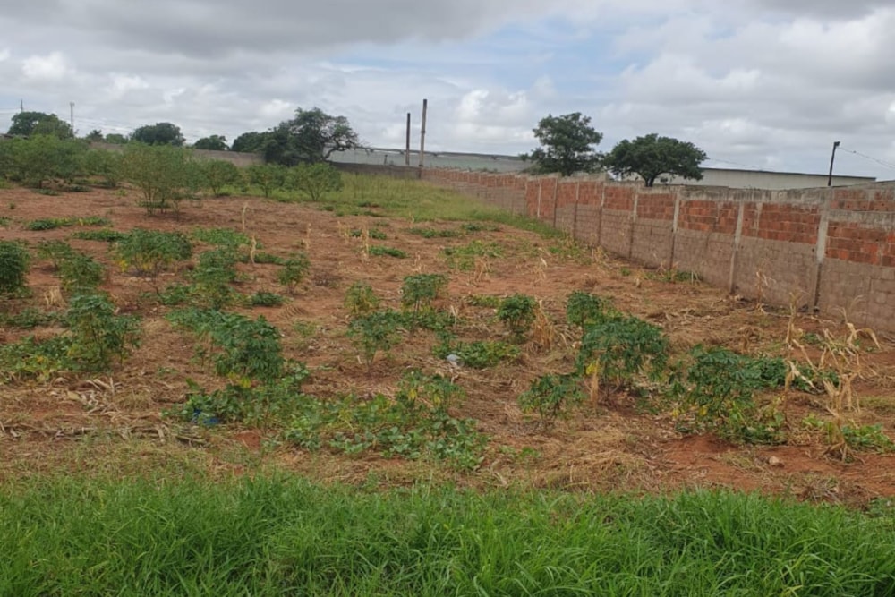 Commercial vacant land for investment in Matola, Mozambique - 3MQ1653266 Commercial vacant land for investment in Matola, Mozambique - 3MQ1653266
