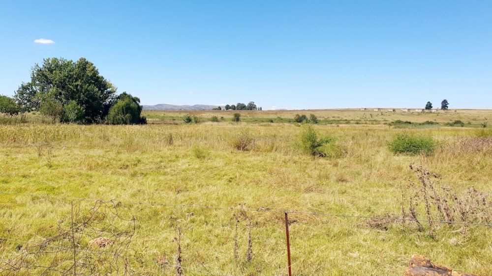 Smallholding for sale in Witkop - 1VT1655437