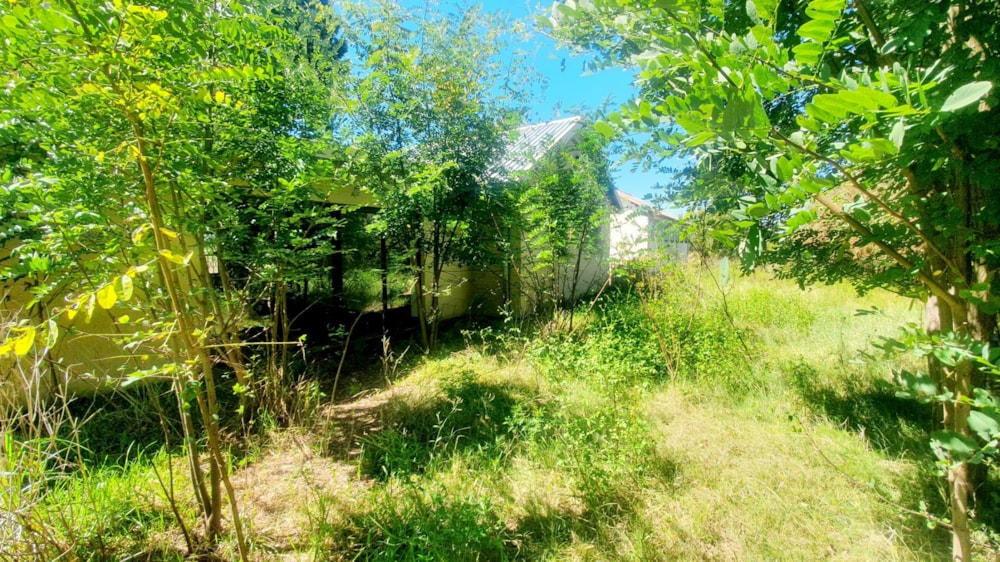 Smallholding for sale in Witkop - 1VT1655437