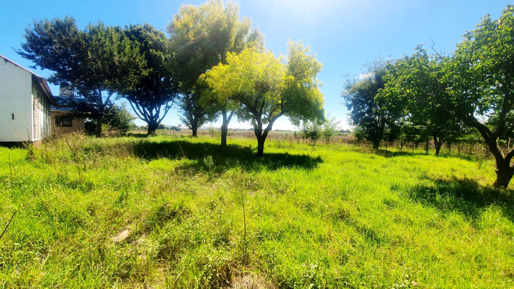 Smallholding for sale in Witkop - 1VT1655437