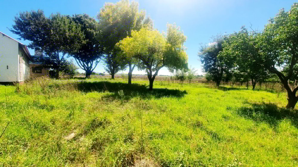 Smallholding for sale in Witkop - 1VT1655437