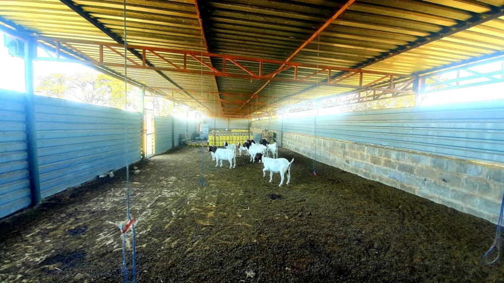 Mixed use farm for sale in Witkop - 1VT1655517 Mixed use farm for sale in Witkop - 1VT1655517