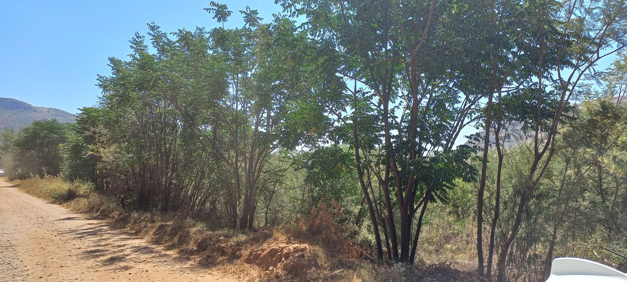 Vacant land for sale in Olifantsnek - 1RU1653883