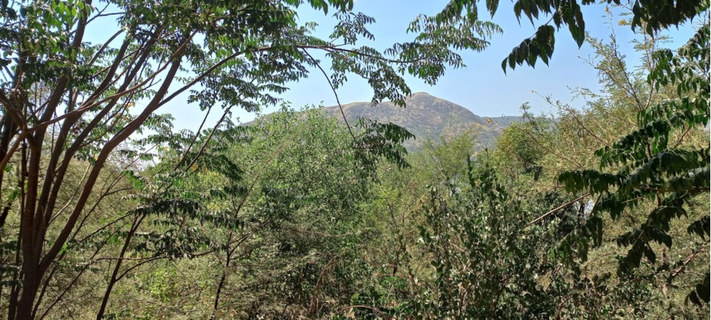 Vacant land for sale in Olifantsnek - 1RU1653883