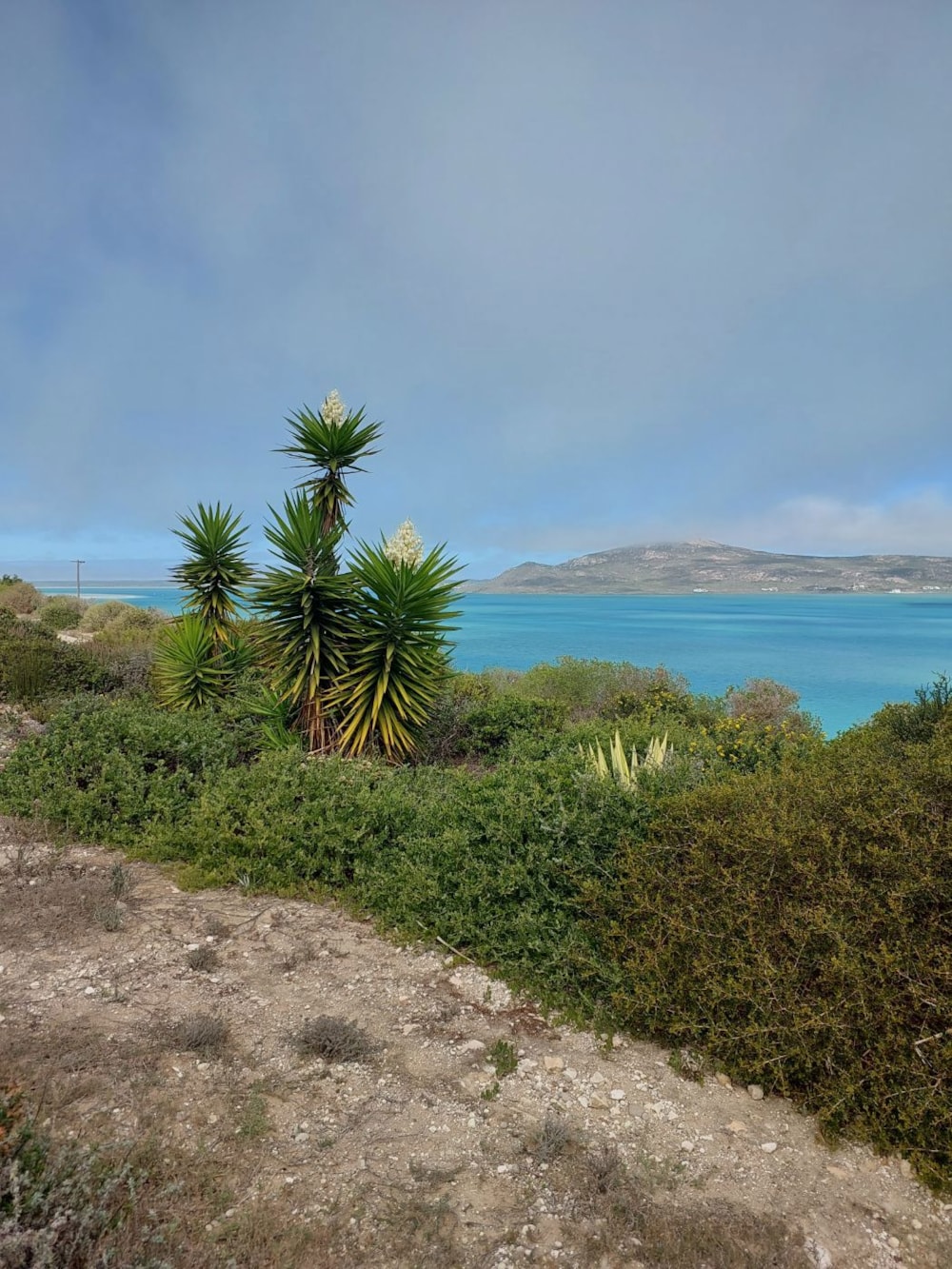 House let in Myburgh Park - LBL1698257 House let in Myburgh Park - LBL1698257