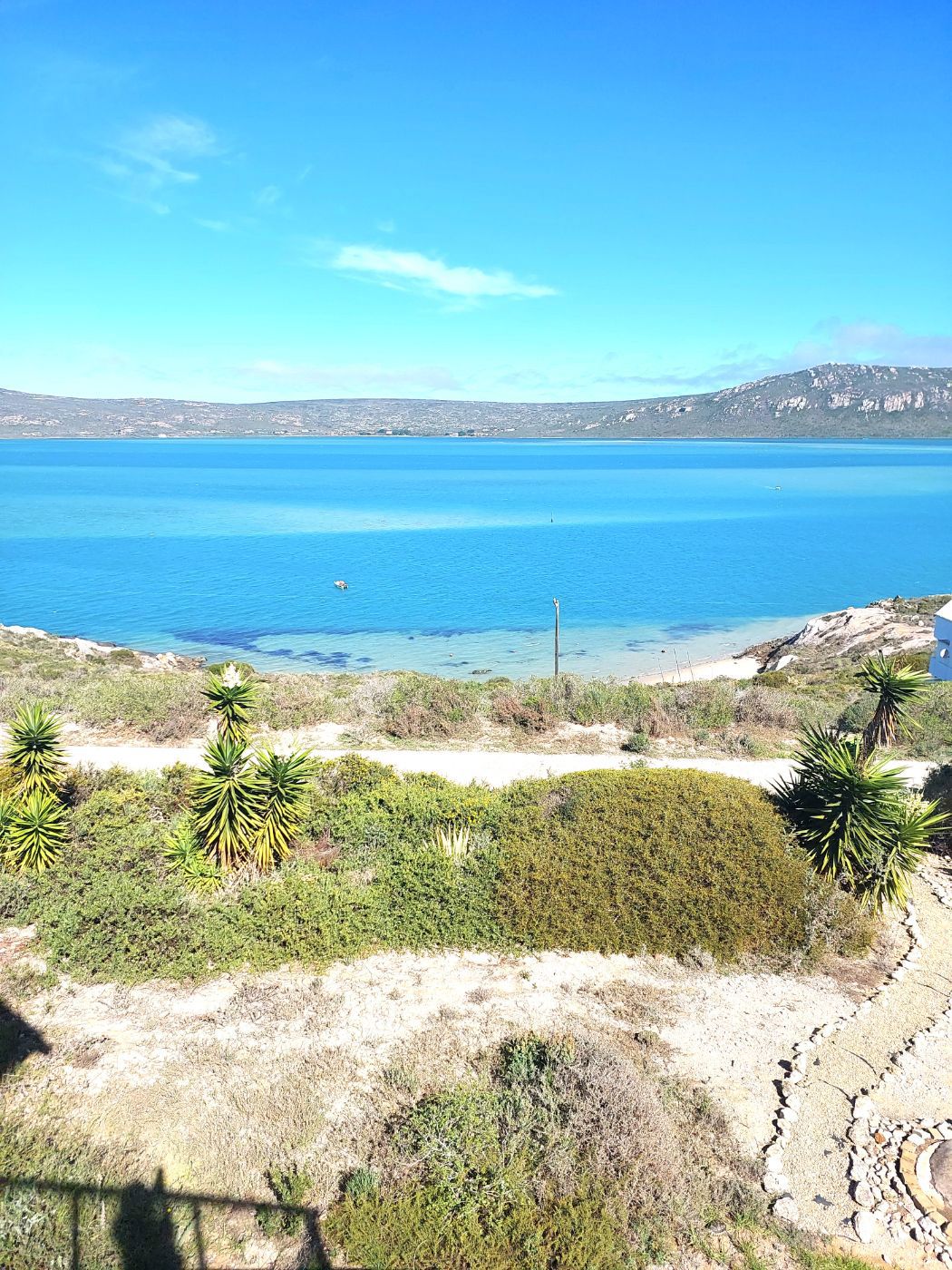 House let in Myburgh Park - LBL1698257