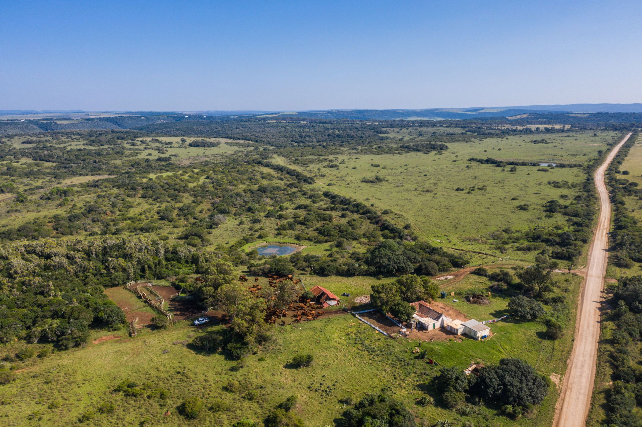 Livestock farm for sale in Kenton on Sea - 1KO1654123