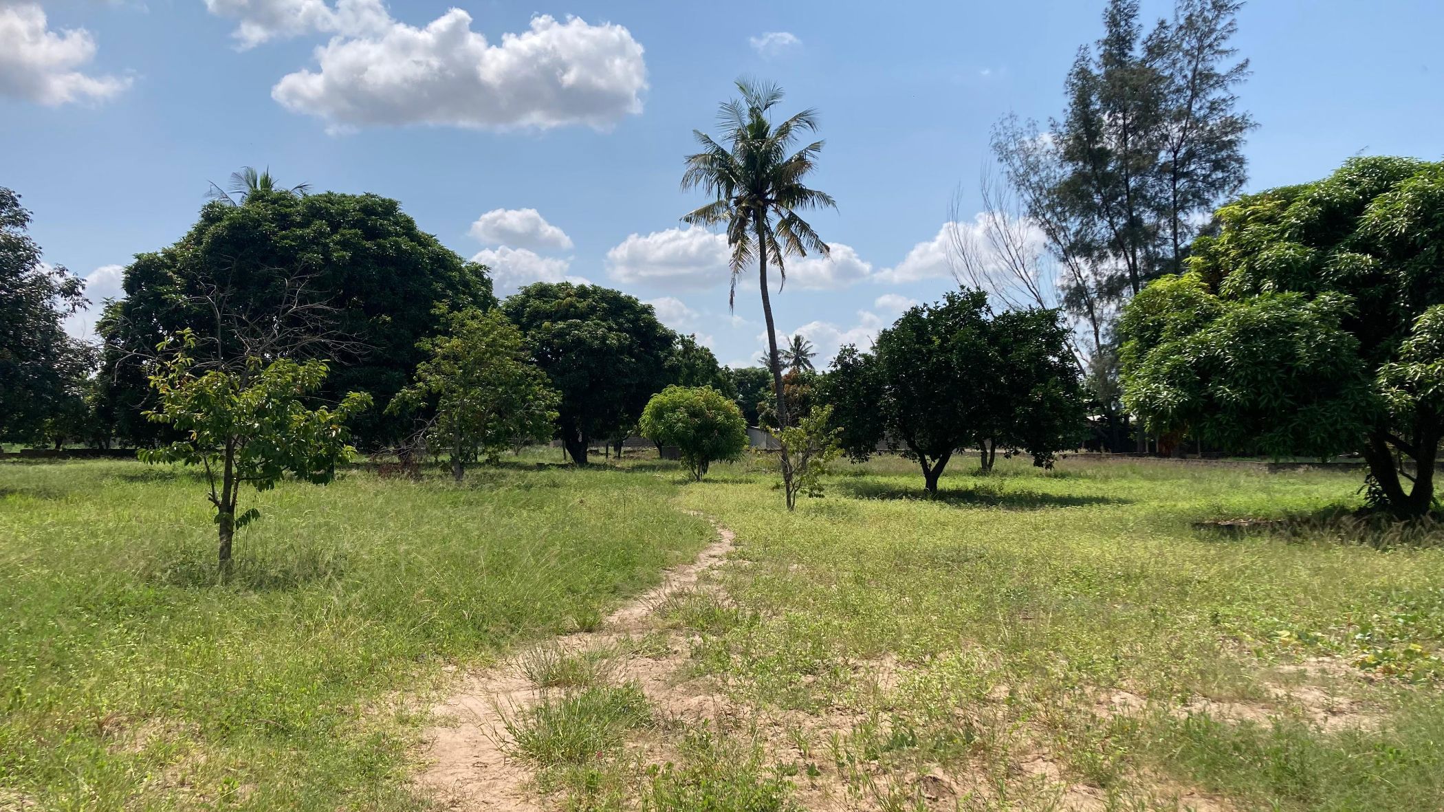 Residential vacant land for investment in Matola, Mozambique - 3MQ1654135