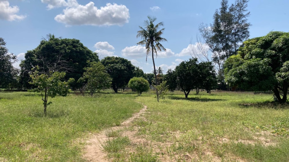 Residential vacant land for investment in Matola, Mozambique - 3MQ1654135