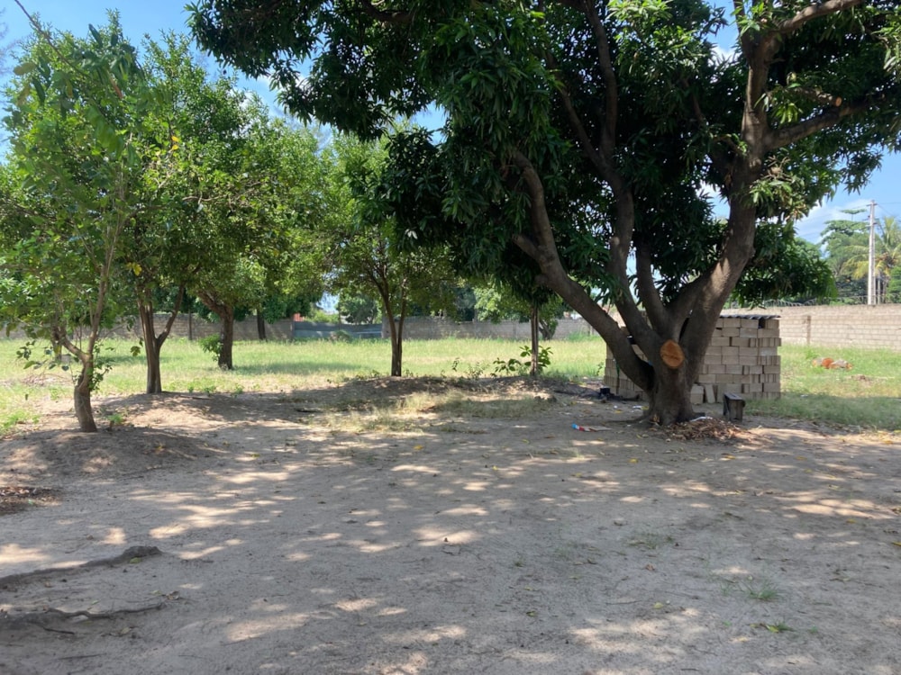 Residential vacant land for investment in Matola, Mozambique - 3MQ1654135