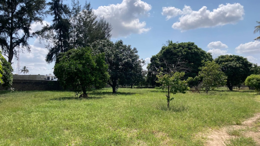 Residential vacant land for investment in Matola, Mozambique - 3MQ1654135