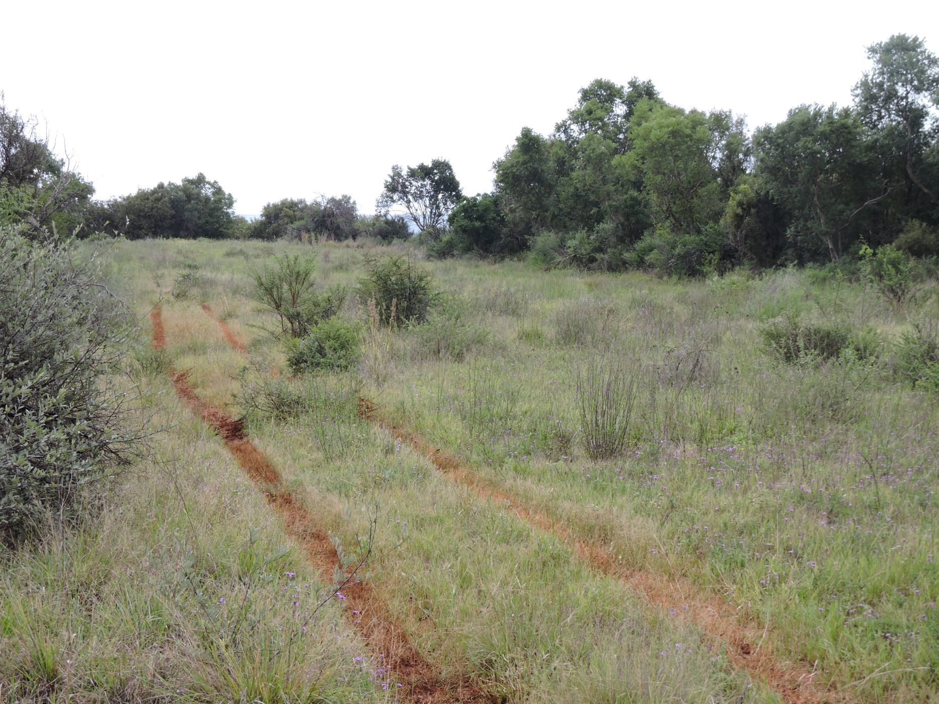 Farm vacant land sold in Swartruggens - 1RU1654214