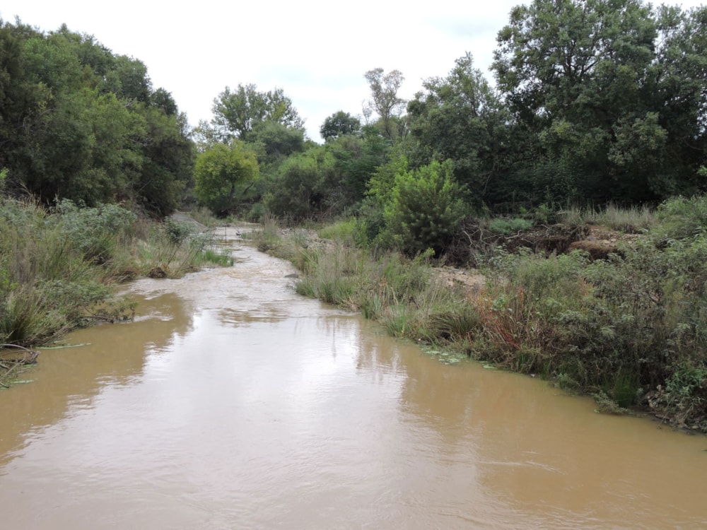 Farm vacant land sold in Swartruggens - 1RU1654214 Farm vacant land sold in Swartruggens - 1RU1654214