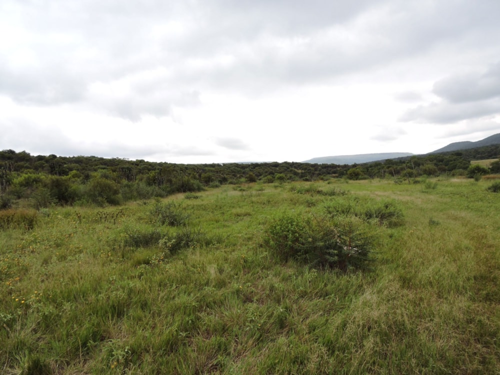 Farm vacant land sold in Swartruggens - 1RU1654214 Farm vacant land sold in Swartruggens - 1RU1654214