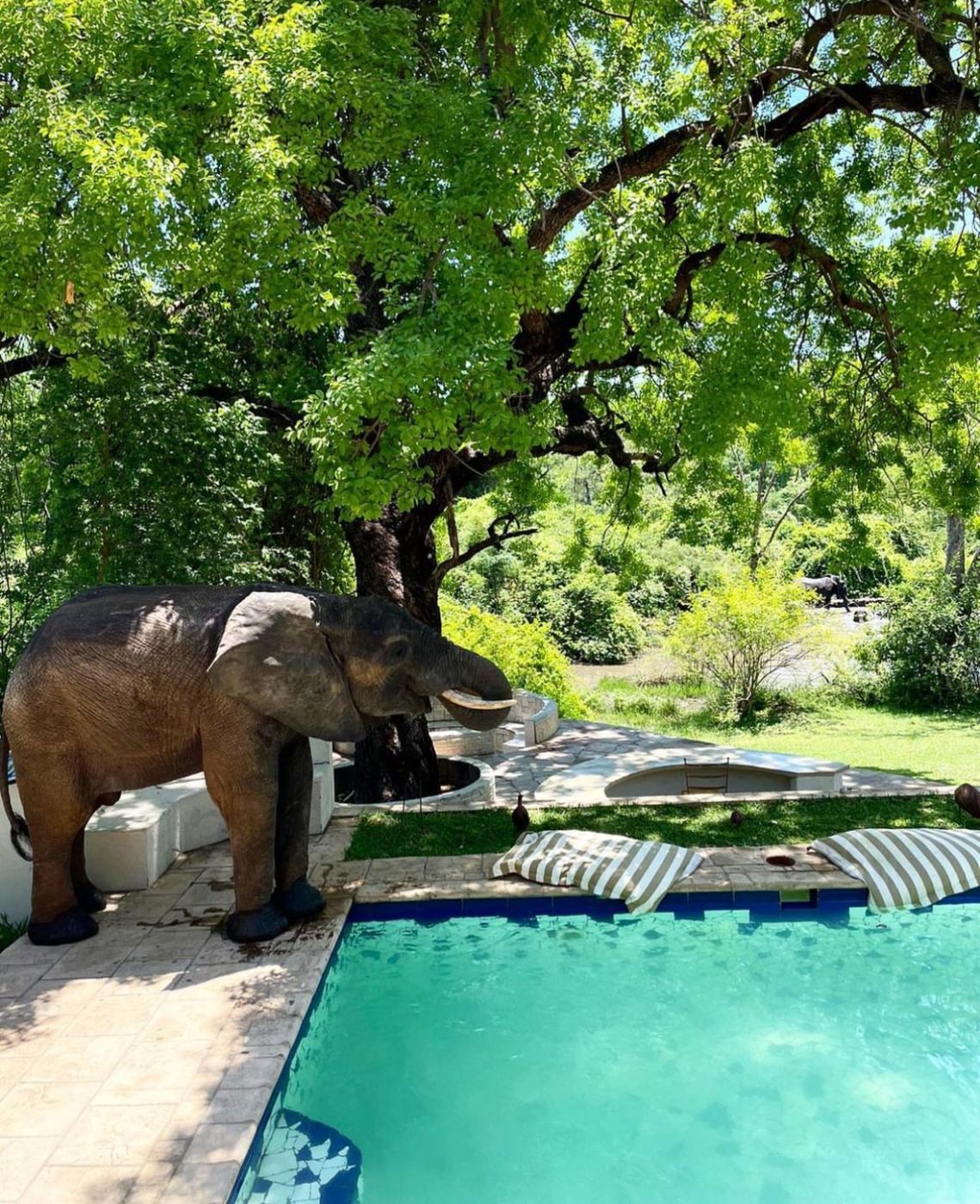 House for sale in Kariba, Zimbabwe - 3ZB1654319