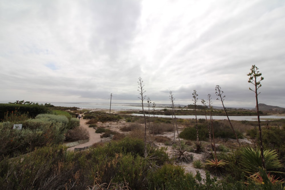 House for sale in Elands Bay - LA1739497