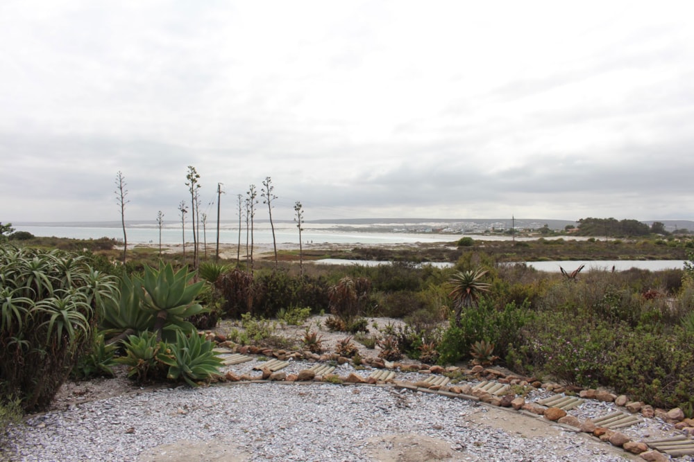 House for sale in Elands Bay - LA1739497