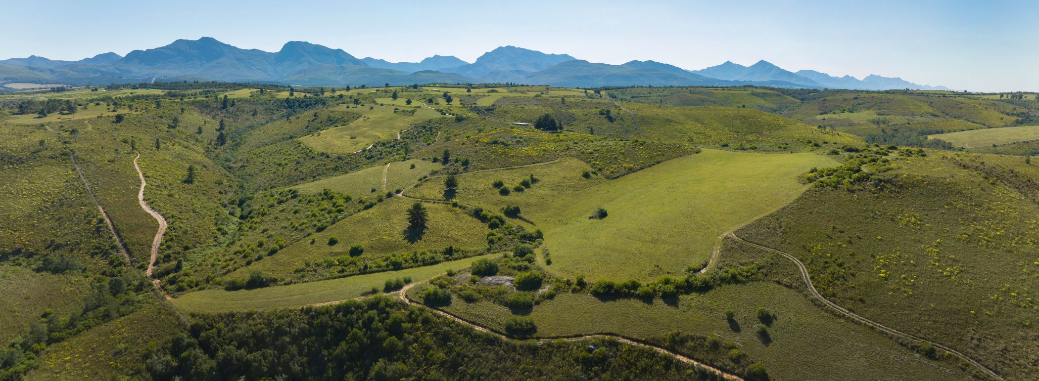 Game farm sold in Mossel Bay Rural - 1MB1654477