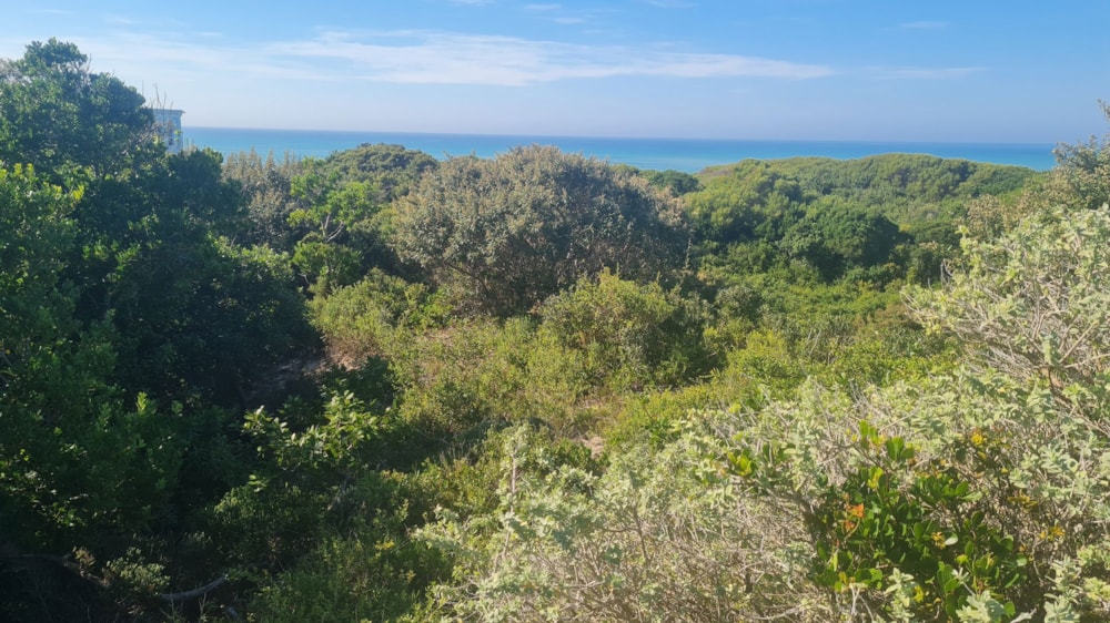 Residential vacant land for sale in Paradise Beach, Jeffreys Bay - 1JF1684253