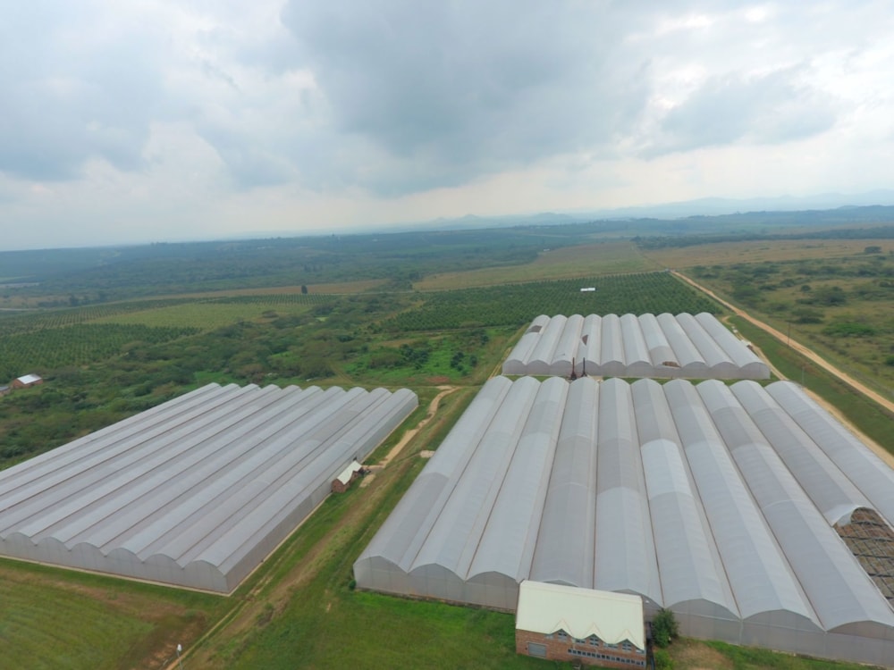 Nut farm for sale in Barberton Rural - 1NK1654697